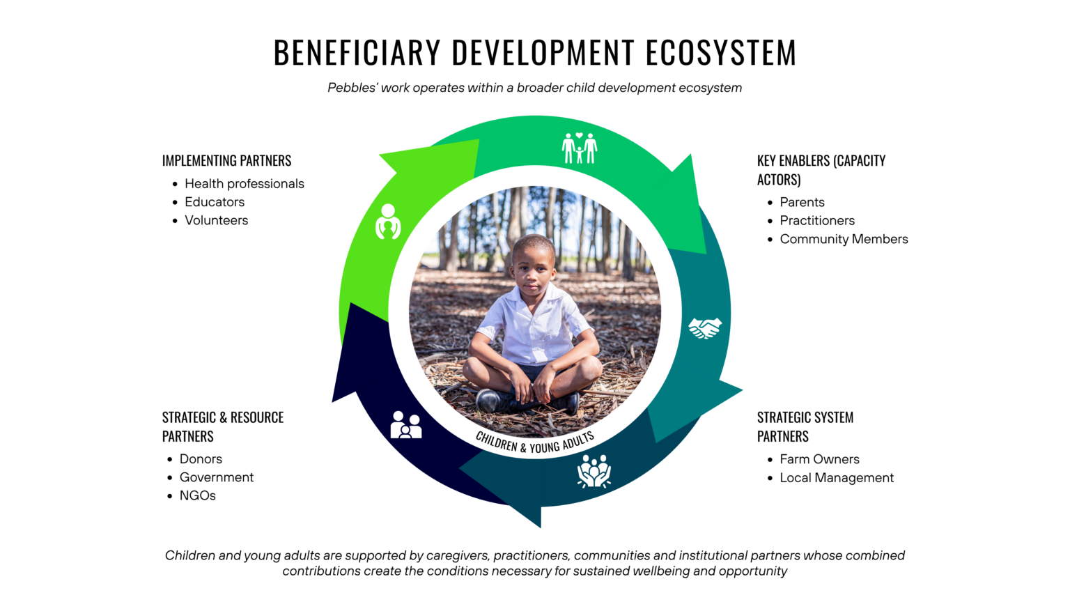 Pebbles Project Theory of Change